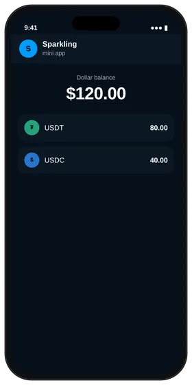 Sparkling balance screen with USDT and USDC ready for stock purchases